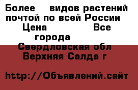 Более200 видов растений почтой по всей России › Цена ­ 100-500 - Все города  »    . Свердловская обл.,Верхняя Салда г.